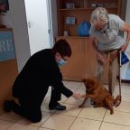 Thornhill-Manor-manager-Esme-Erasmus-standing-in-for-Shirley-Whitehead-who-initiated-the-treat-programme-with-resident-Ann-Raats-and-Hachiko.