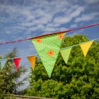 bunting-1342240_1920