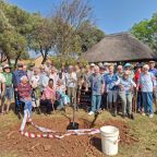 Residents of Thornhill Manor, garden club members and Servest staff with the karee tree.