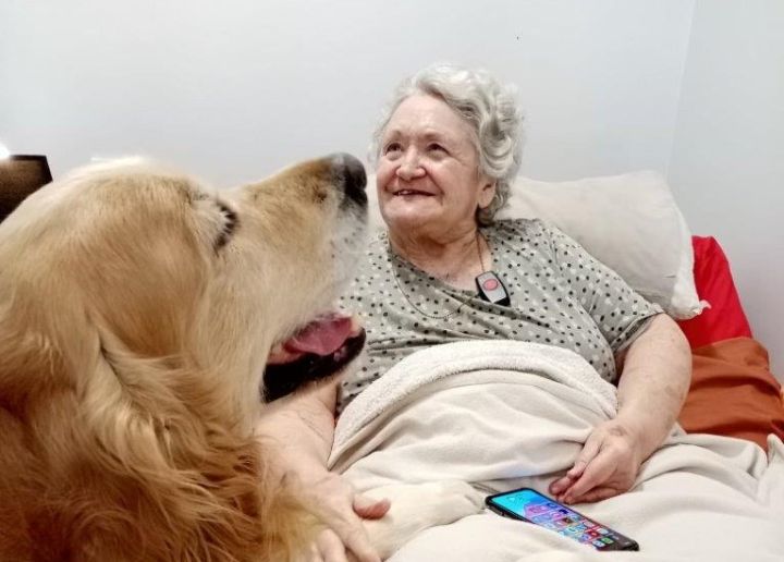 Paws for joy: Therapy dogs bring smiles to Thembalami Care Centre ...